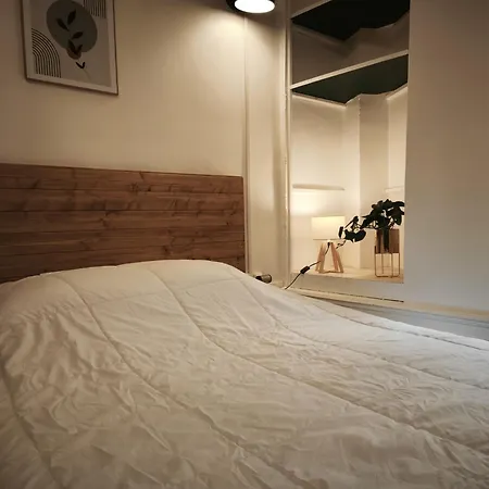 Appartement Le Petit Pontillard - Hypercentre - Face Opera&parcs Vichy