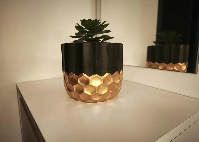 Le Petit Pontillard - Hypercentre - Face Opera&parcs Vichy