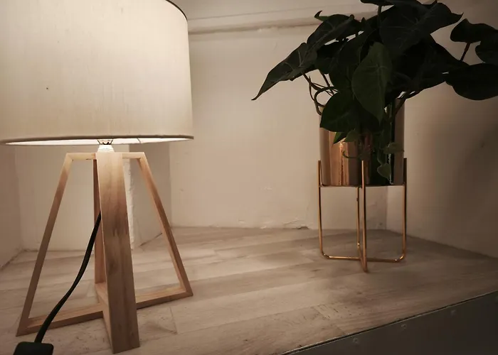 Le Petit Pontillard - Hypercentre - Face Opera&parcs * Vichy