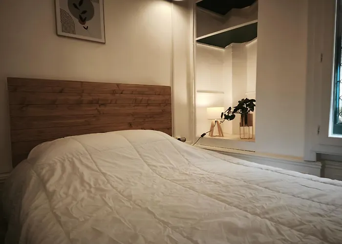 Appartement Le Petit Pontillard - Hypercentre - Face Opera&parcs Vichy