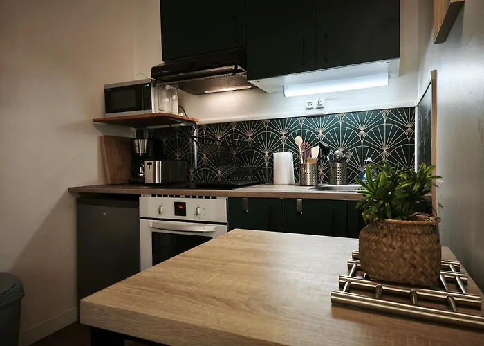 Le Petit Pontillard - Hypercentre - Face Opera&parcs Vichy